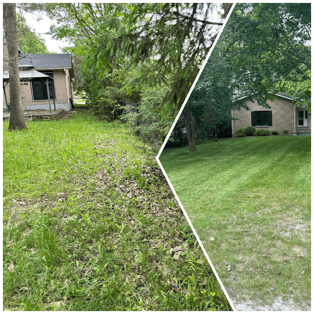 Aeration Lawn Care Service